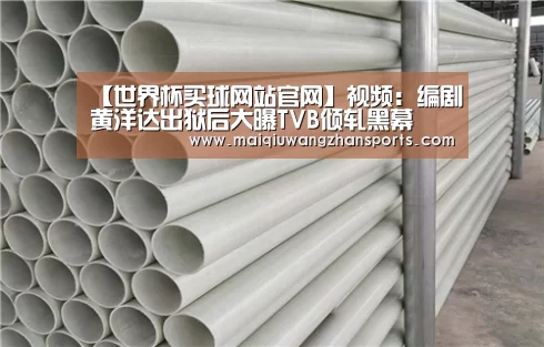 【世界杯买球网站官网】视频：编剧黄洋达出狱后大曝TVB倾轧黑