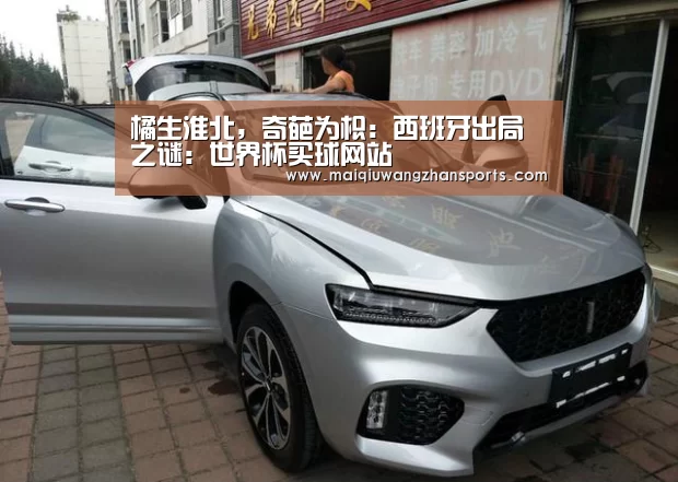 橘生淮北，奇葩为枳：西班牙出局之谜：世界杯买球网站