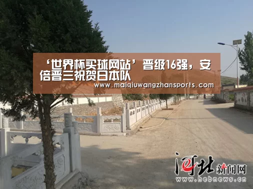 ‘世界杯买球网站’晋级16强，安倍晋三祝